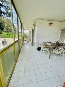 Terraza - casa en Flora de España